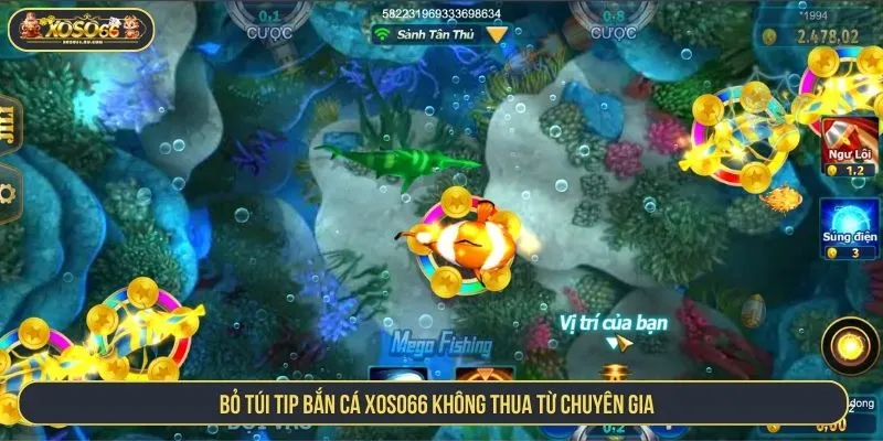 Bỏ túi tip bắn cá XOSO66 không thua từ chuyên gia