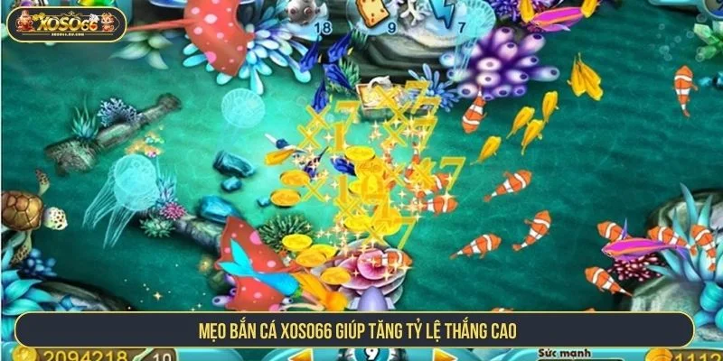 Chi tiết các mẹo bắn cá có thể áp dụng