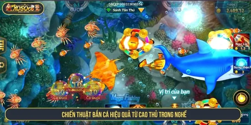 Chiến thuật bắn cá hiệu quả từ cao thủ trong nghề