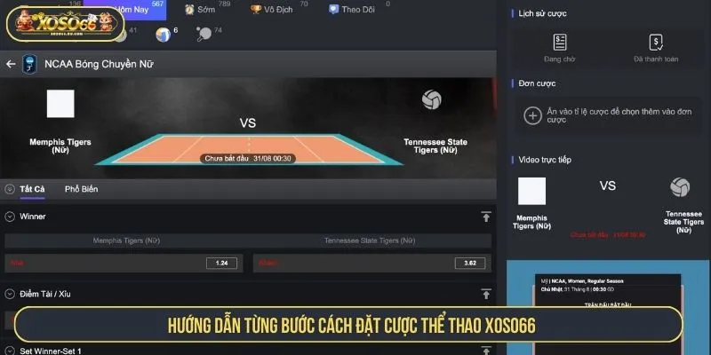 Hướng dẫn từng bước cách đặt cược thể thao XOSO66