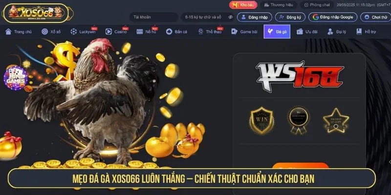 Mẹo Đá Gà XOSO66 Luôn Thắng Với Chiến Thuật Chuẩn Xác Mẹo Đá Gà XOSO66 Luôn Thắng