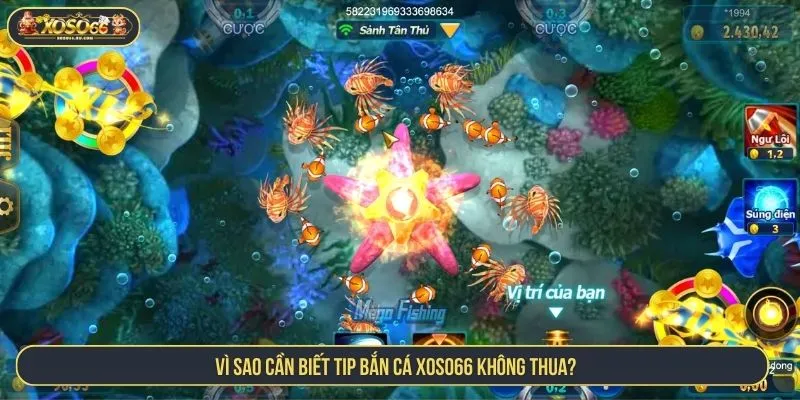Vì sao cần biết tip bắn cá XOSO66 không thua?