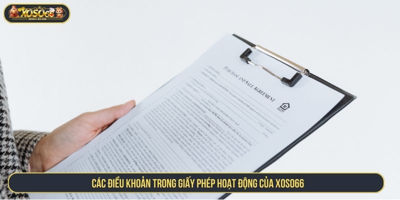 Các điều khoản trong giấy phép hoạt động của XOSO66