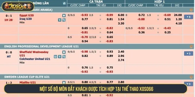 Trải Nghiệm Thể Thao XOSO66 Đỉnh Cao Bảng Odds Hấp Dẫn Một số bộ môn đắt khách được tích hợp tại thể thao XOSO66