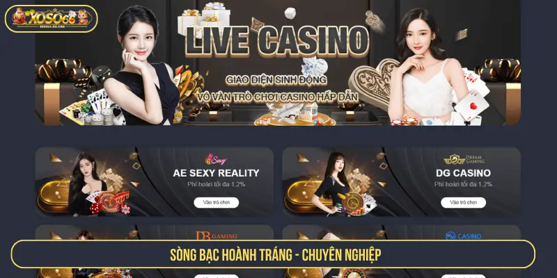 Sòng bạc hoành tráng - chất lượng