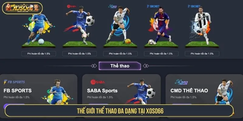 Trải Nghiệm Thể Thao XOSO66 Đỉnh Cao Bảng Odds Hấp Dẫn Thế giới thể thao đa dạng tại XOSO66