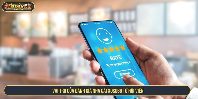 Đánh Giá Nhà Cái XOSO66 Với Góc Nhìn Thực Tế Từ Hội Viên Vai trò của đánh giá nhà cái XOSO66 từ hội viên