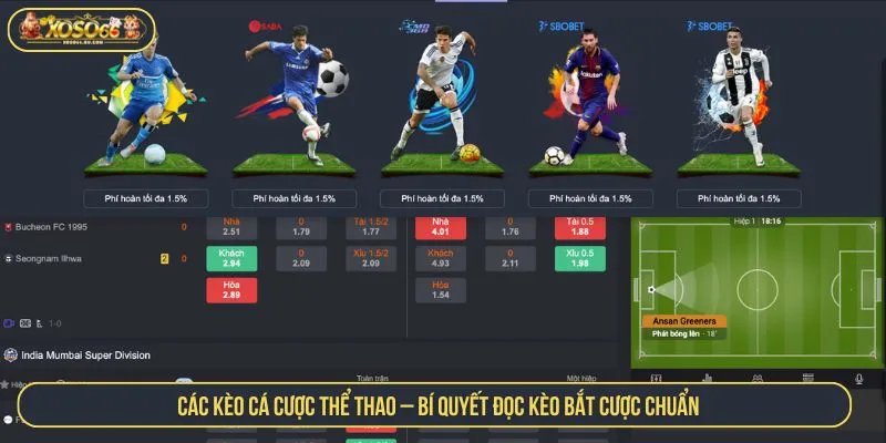 Các Kèo Cá Cược Thể Thao