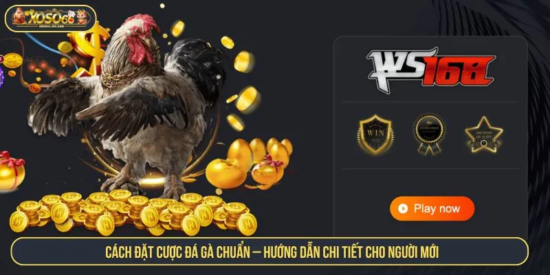 Cách Đặt Cược Đá Gà