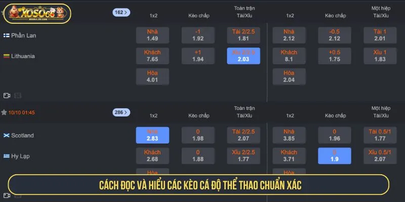 Cách đọc và hiểu các kèo cá độ thể thao chuẩn xác