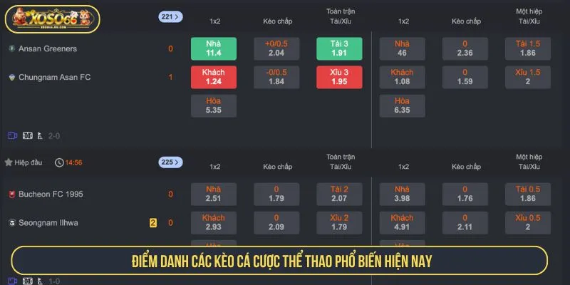 Điểm danh các kèo cá cược thể thao phổ biến hiện nay