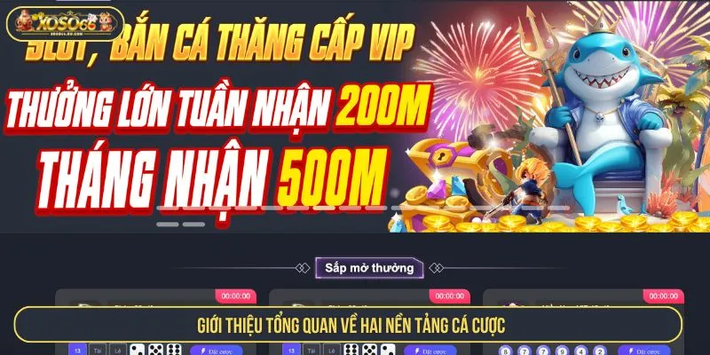 So Sánh Xoso66 Với EE88 Về Chất Lượng Dịch Vụ Chi Tiết Giới thiệu tổng quan về hai nền tảng cá cược