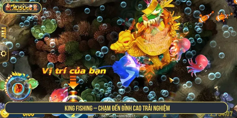 King Fishing – Chạm đến đỉnh cao trải nghiệm