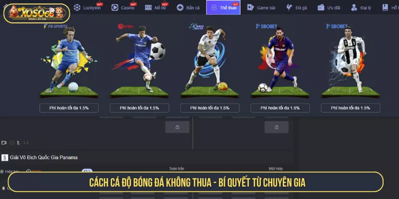 Cách Cá Độ Bóng Đá Không Thua - Bí Quyết Từ Chuyên Gia