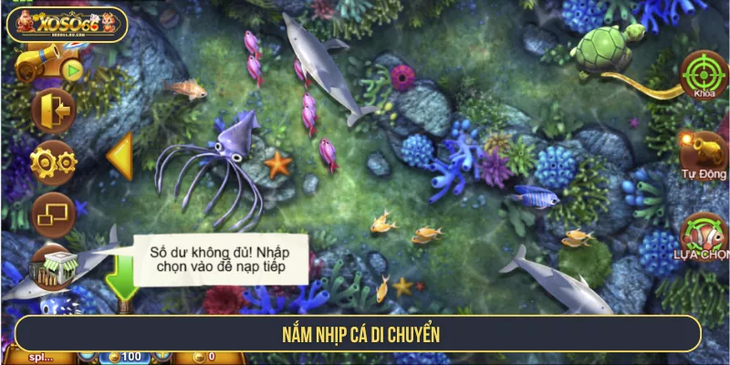 Cách Chơi Bắn Cá Luôn Thắng Với Bí Kíp Bách Trúng Nắm nhịp cá di chuyển