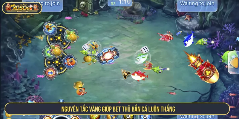 Cách Chơi Bắn Cá Luôn Thắng Với Bí Kíp Bách Trúng Nguyên tắc vàng giúp bet thủ bắn cá luôn thắng