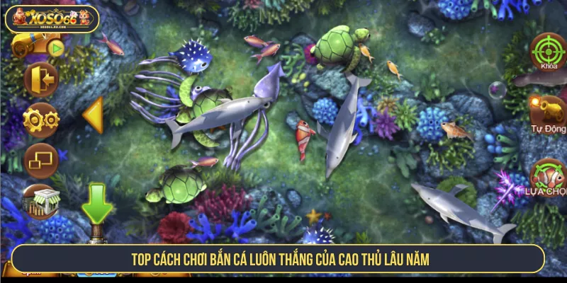 Cách Chơi Bắn Cá Luôn Thắng Với Bí Kíp Bách Trúng Top cách chơi bắn cá luôn thắng của cao thủ lâu năm